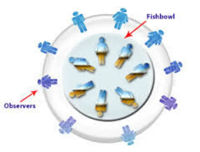 استراتيجية أحواض السمك 